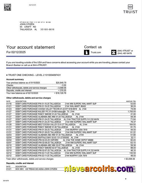 USA Truist Bank account statement Word and PDF